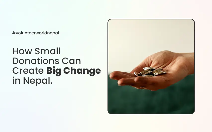 small donation - big impact